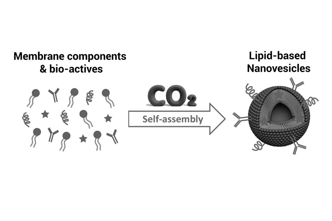 Nanomol Technologies Researchers Publish an Advance Article on Chemical Society Reviews
